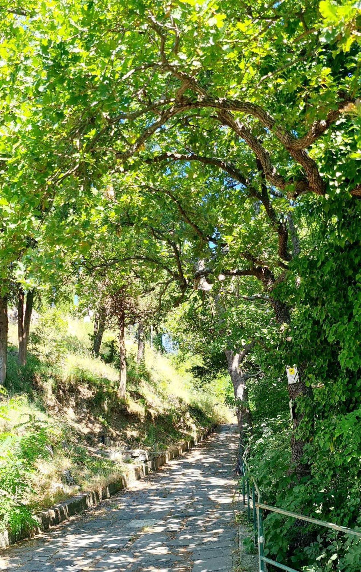Villa Blu Costiera Amalfi Exterior photo